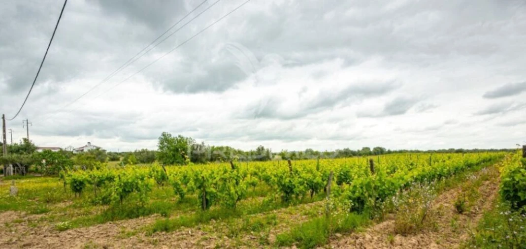Terreno para Venda em Corval Foto 6