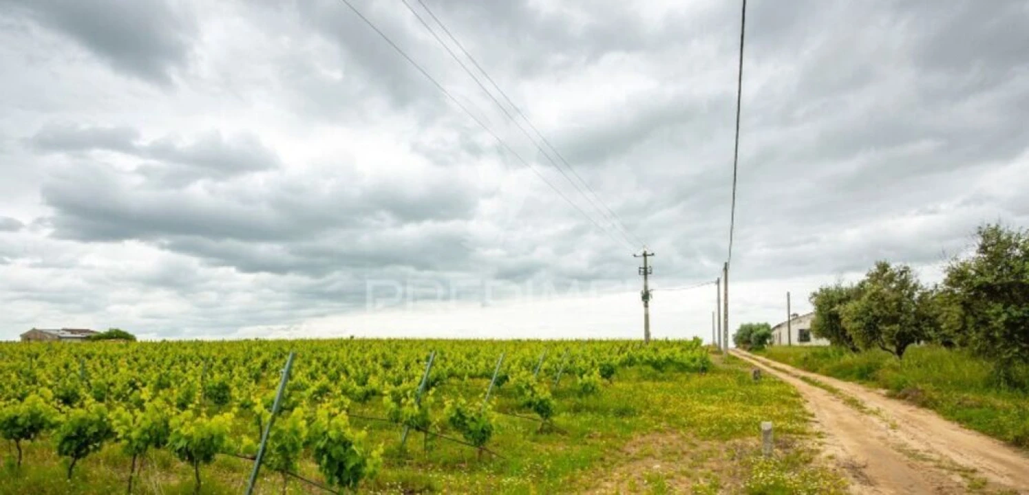Terreno para Venda em Corval Foto 4