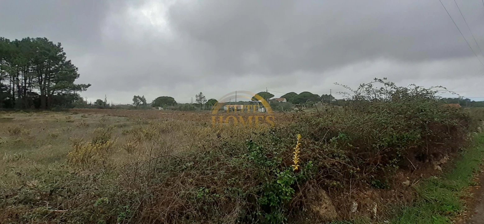 Quinta T3 para Venda em Agualva e Mira-Sintra Foto 73