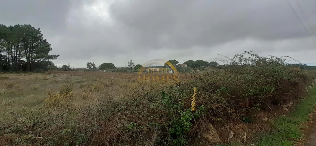 Quinta T3 para Venda em Agualva e Mira-Sintra Foto 73