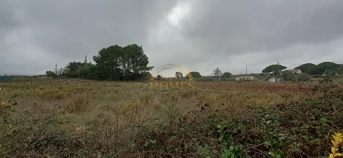 Quinta T3 para Venda em Agualva e Mira-Sintra Foto 72