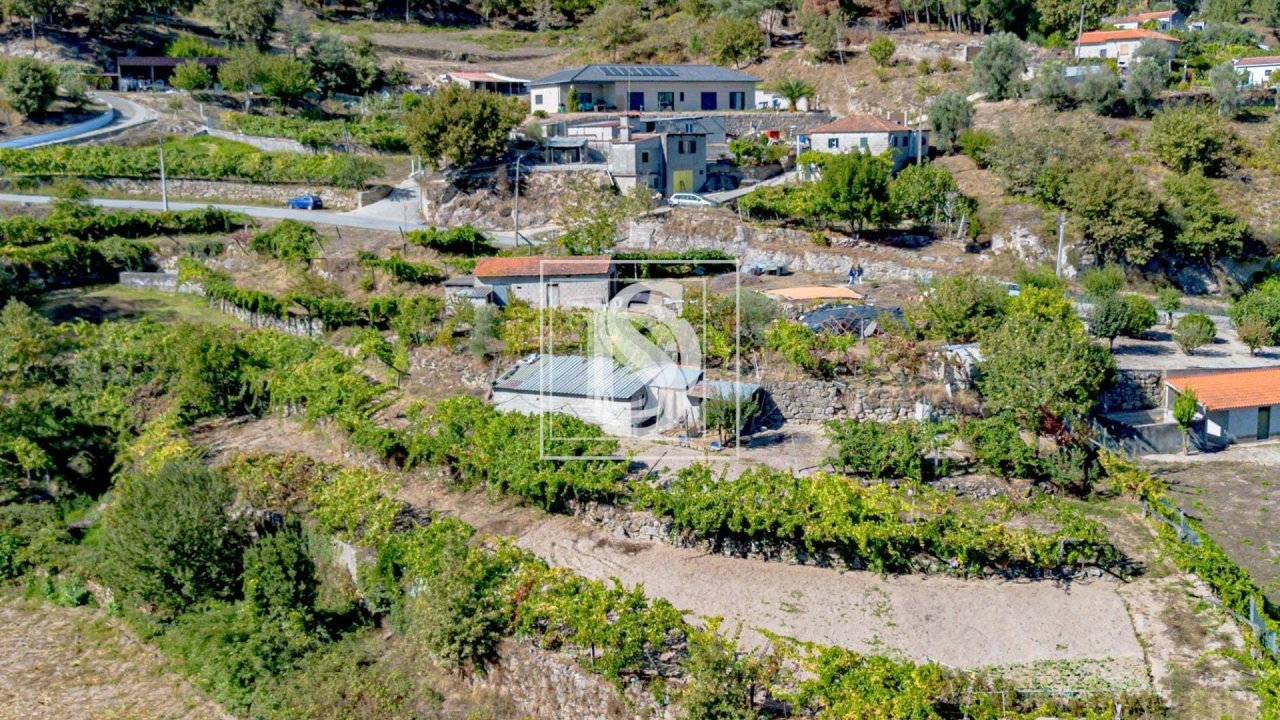 Terreno para Venda em Grilo Foto 38