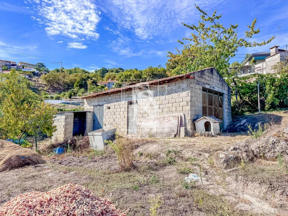 Terreno para Venda em Grilo Foto 8