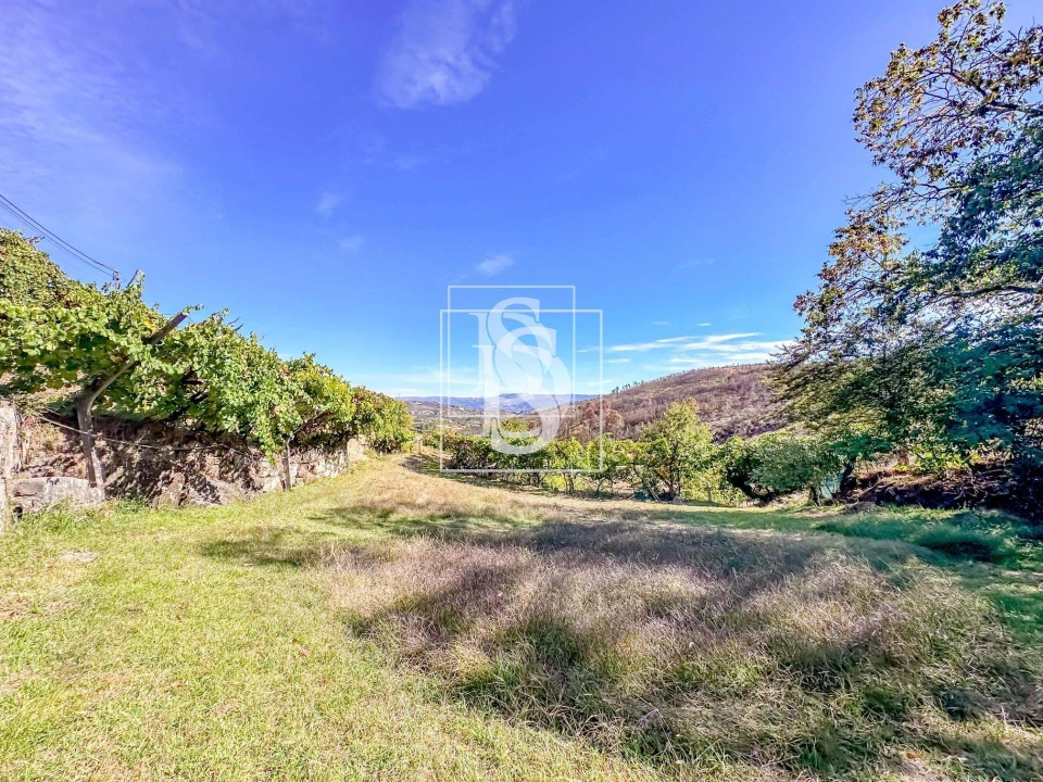 Terreno para Venda em Grilo Foto 2