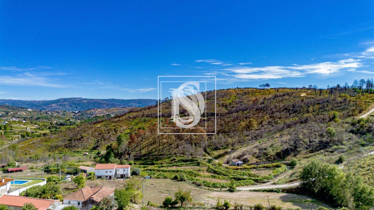 Terreno para Venda em Grilo Foto 27