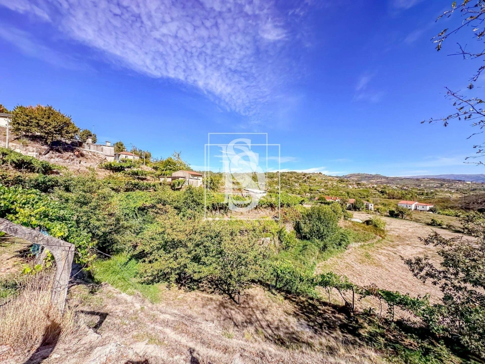 Terreno para Venda em Grilo Foto 33