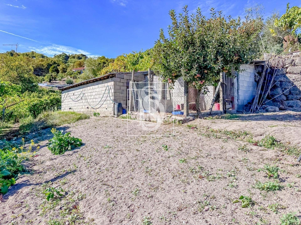 Terreno para Venda em Grilo Foto 1
