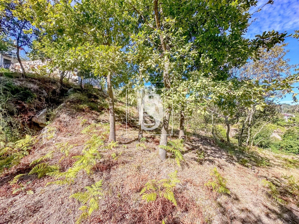 Terreno para Venda em Grilo Foto 32