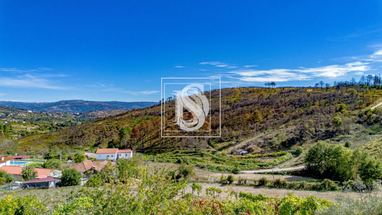 Terreno para Venda em Grilo Foto 28