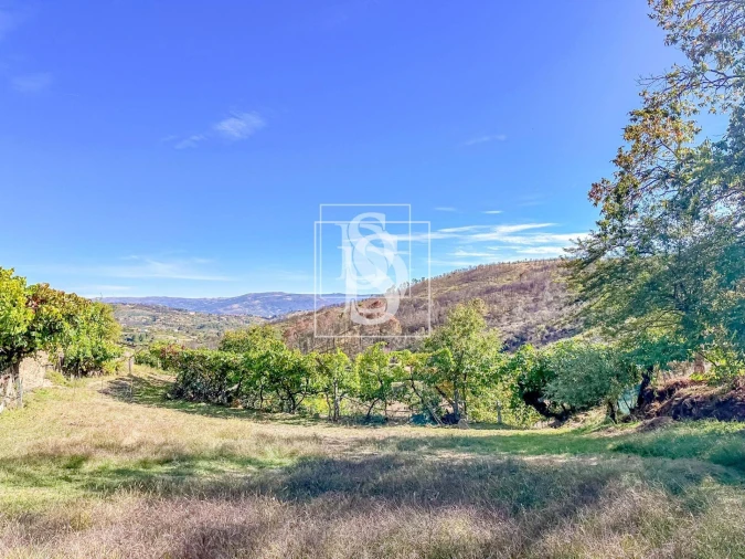 Terreno para Venda em Grilo Foto 13