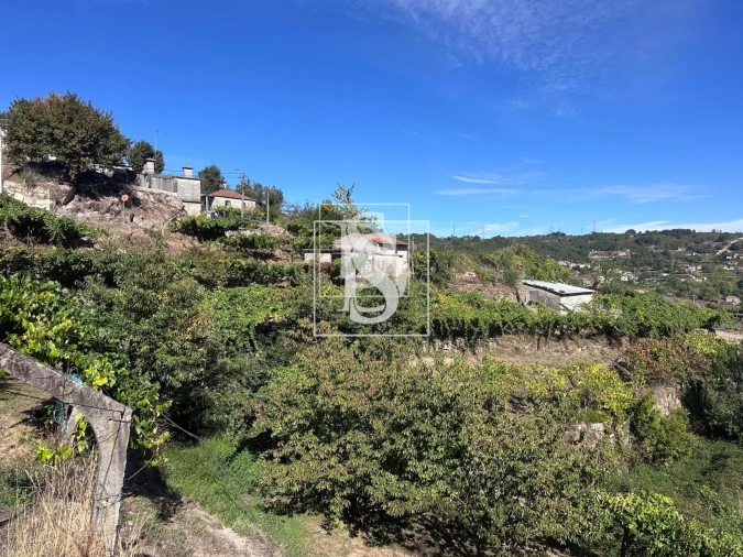 Terreno para Venda em Grilo Foto 34