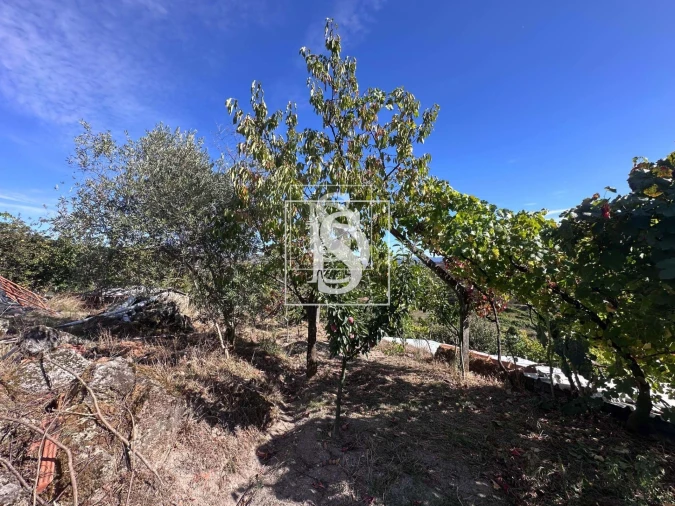 Terreno para Venda em Grilo Foto 10