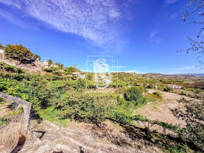 Terreno para Venda em Grilo Foto 33