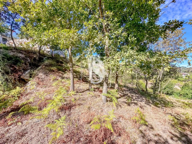 Terreno para Venda em Grilo Foto 32