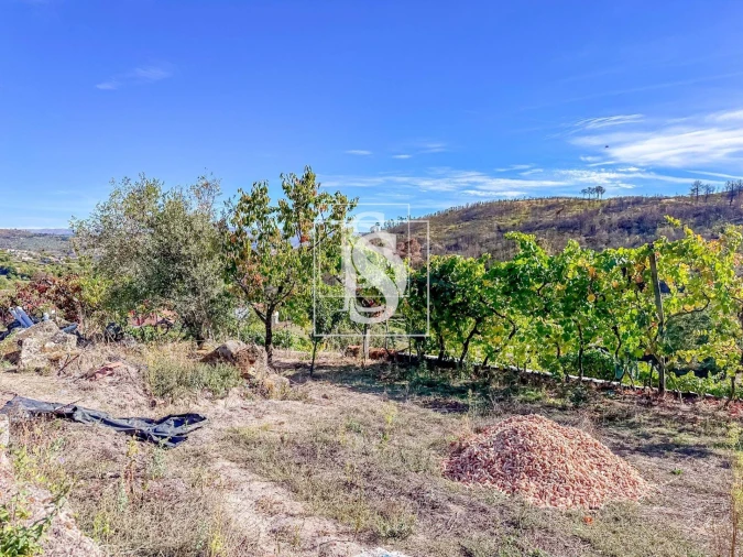 Terreno para Venda em Grilo Foto 29