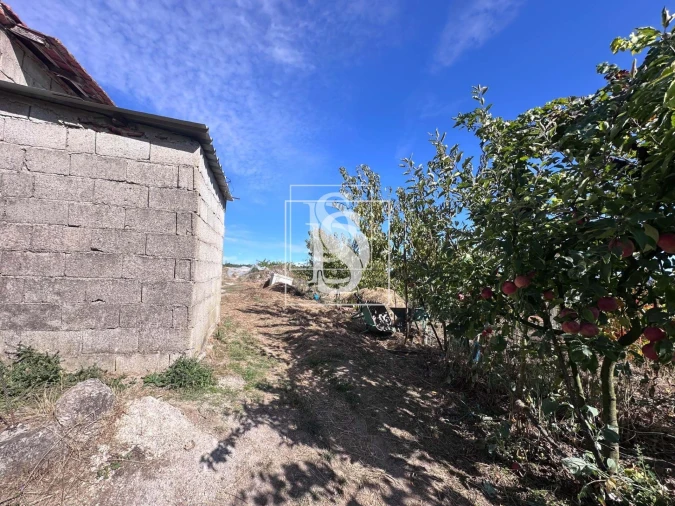 Terreno para Venda em Grilo Foto 40