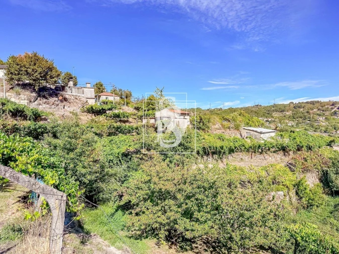 Terreno para Venda em Grilo Foto 35