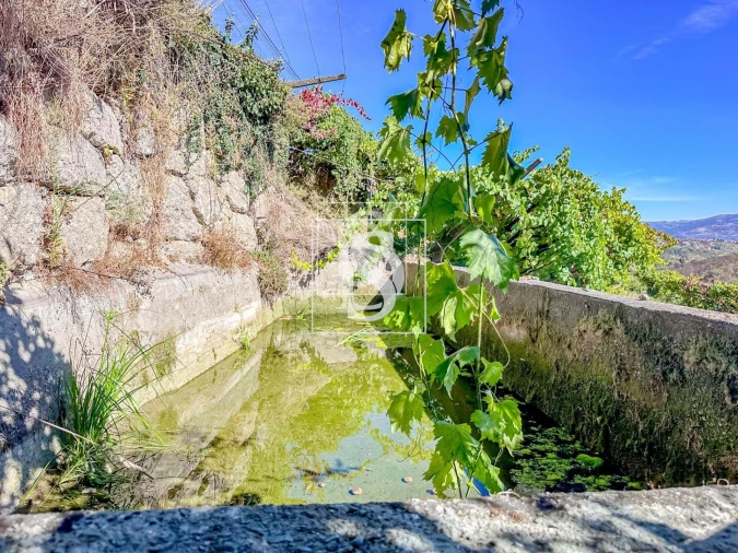 Terreno para Venda em Grilo Foto 11