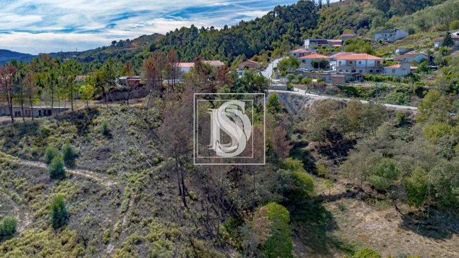 Terreno para Venda em Grilo Foto 20