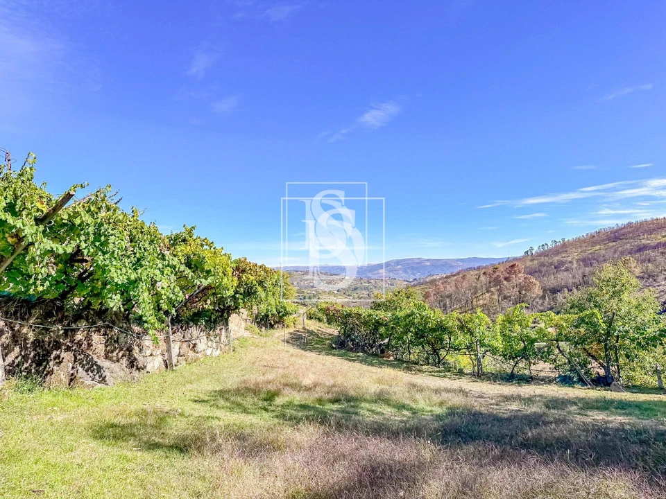 Terreno para Venda em Grilo Foto 12