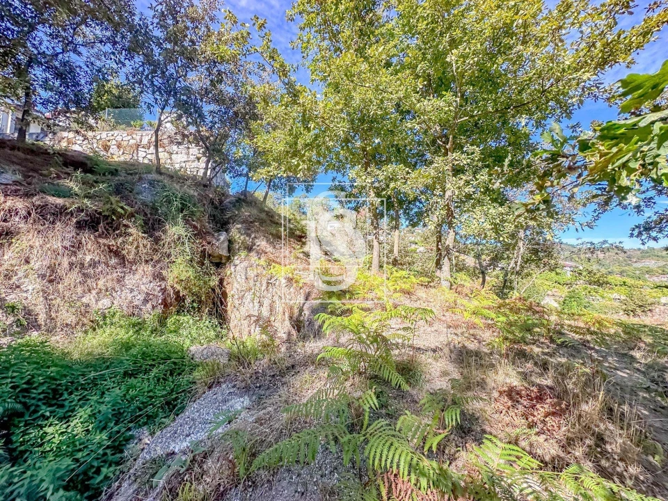 Terreno para Venda em Grilo Foto 30