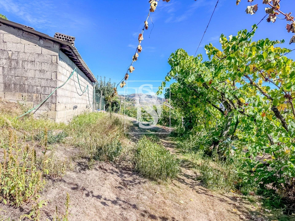 Terreno para Venda em Grilo Foto 6