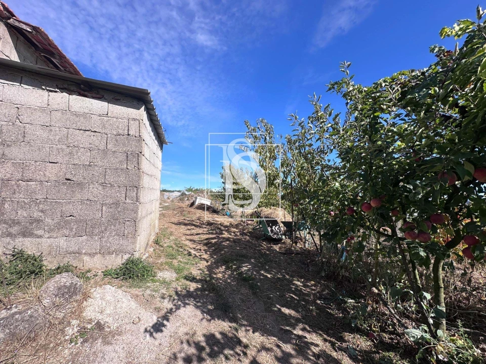 Terreno para Venda em Grilo Foto 40