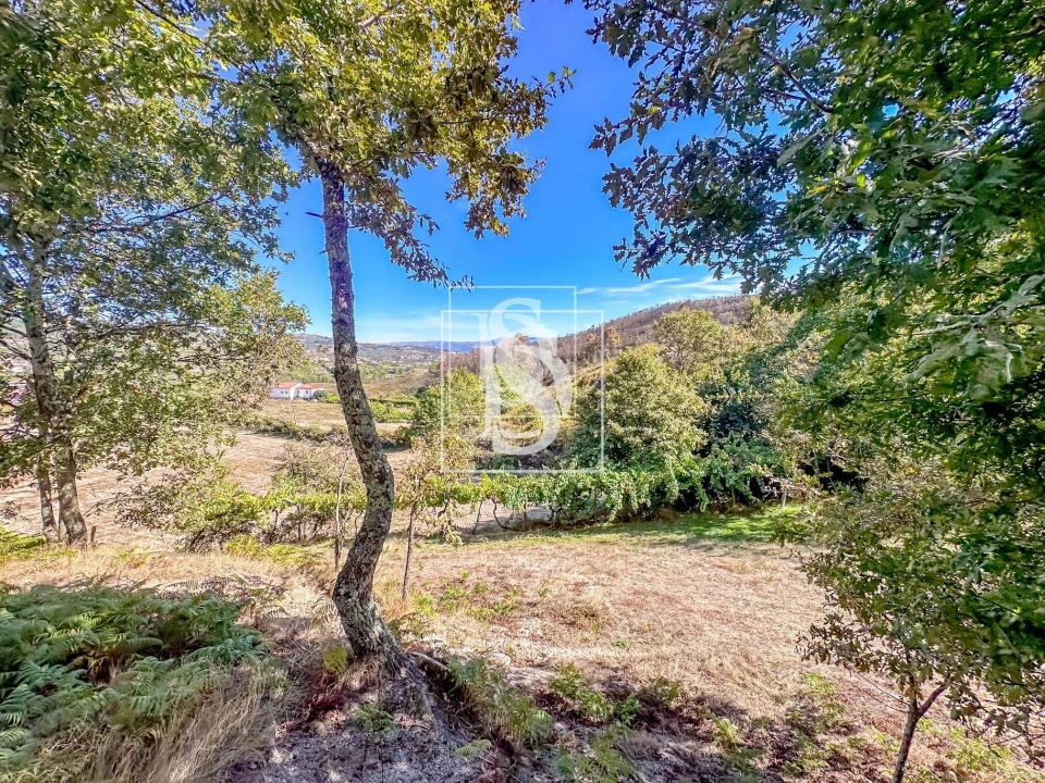 Terreno para Venda em Grilo Foto 4