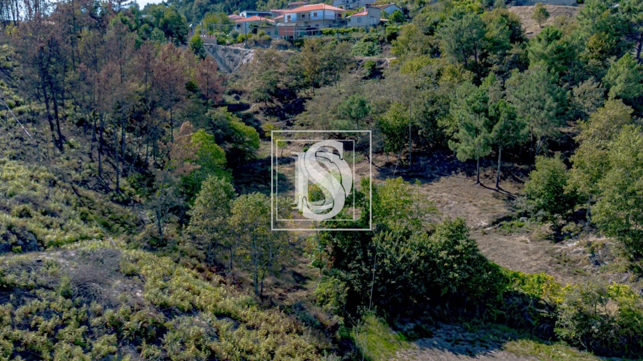 Terreno para Venda em Grilo Foto 19