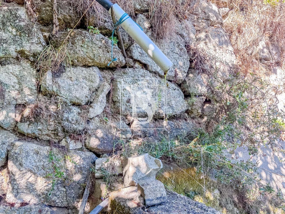 Terreno para Venda em Grilo Foto 39