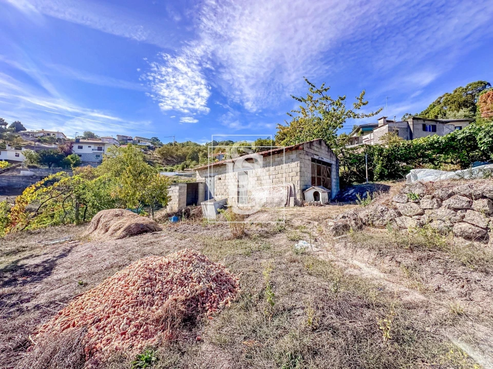 Terreno para Venda em Grilo Foto 7