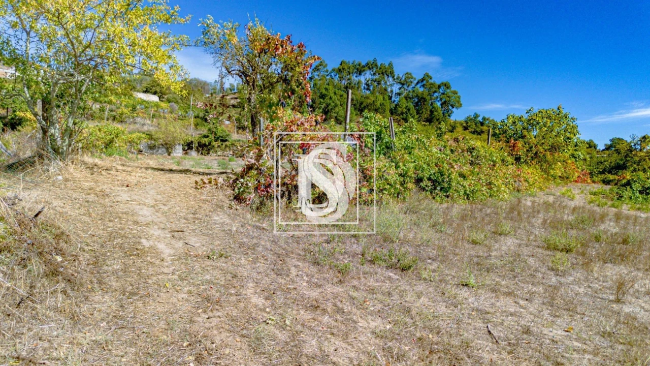 Terreno para Venda em Frende Foto 17