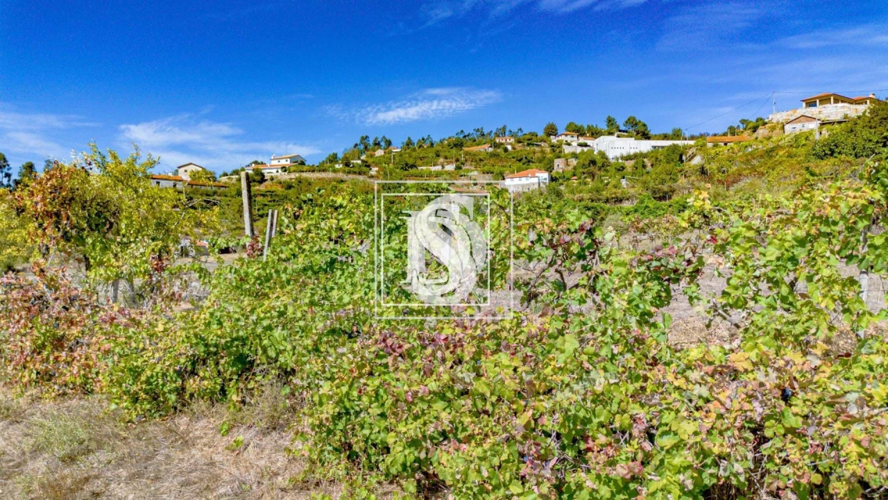 Terreno para Venda em Frende Foto 31