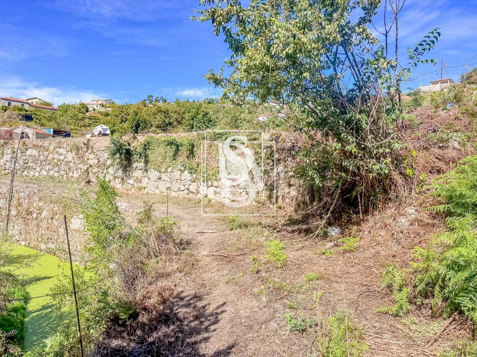 Terreno para Venda em Frende Foto 20