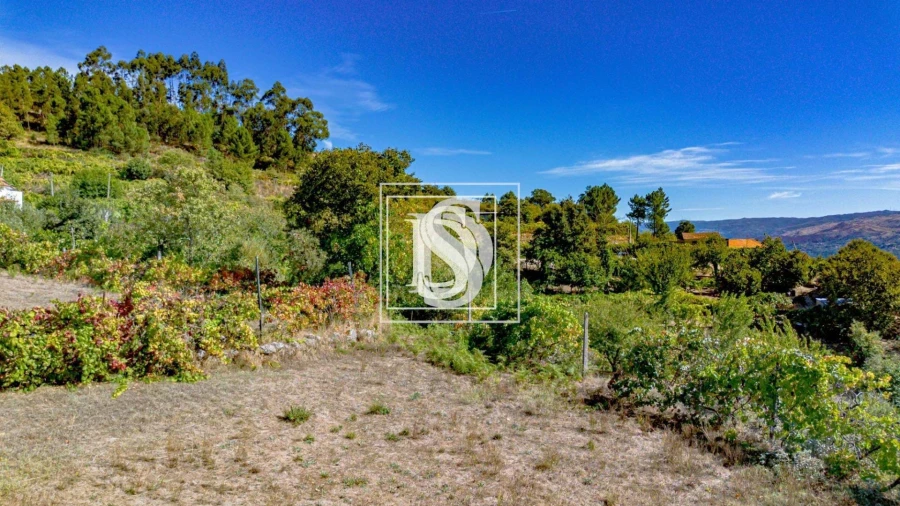 Terreno para Venda em Frende Foto 9