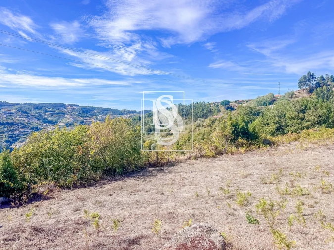 Terreno para Venda em Frende Foto 23