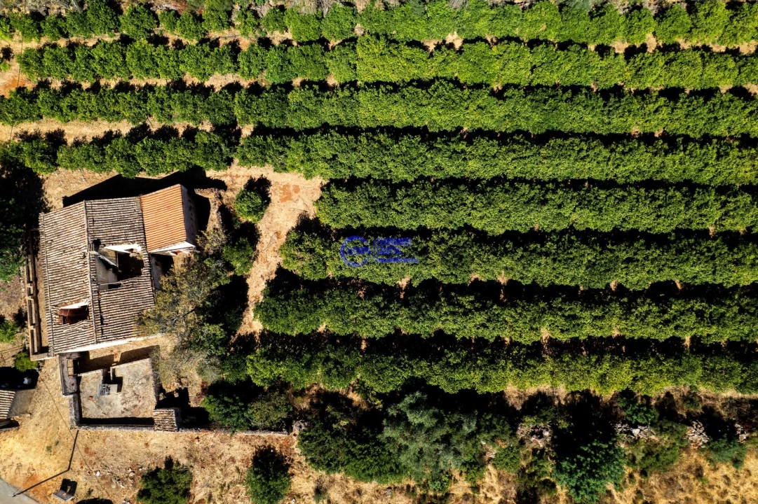 Quinta T4 para Venda em Paderne Foto 28