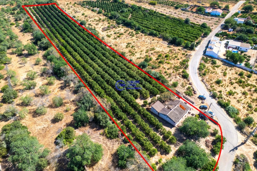 Quinta T4 para Venda em Paderne Foto 2