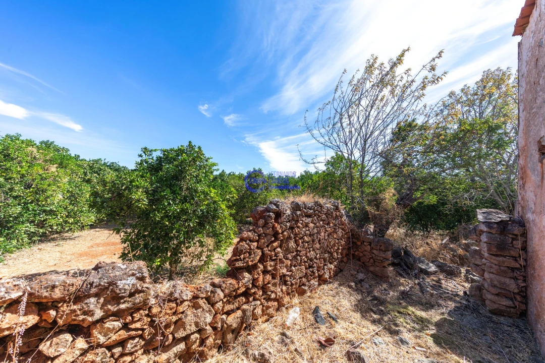 Quinta T4 para Venda em Paderne Foto 21