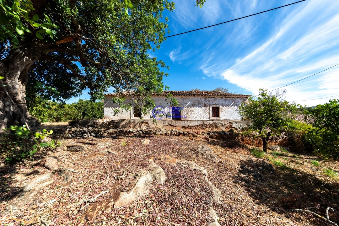 Quinta T4 para Venda em Paderne Foto 1