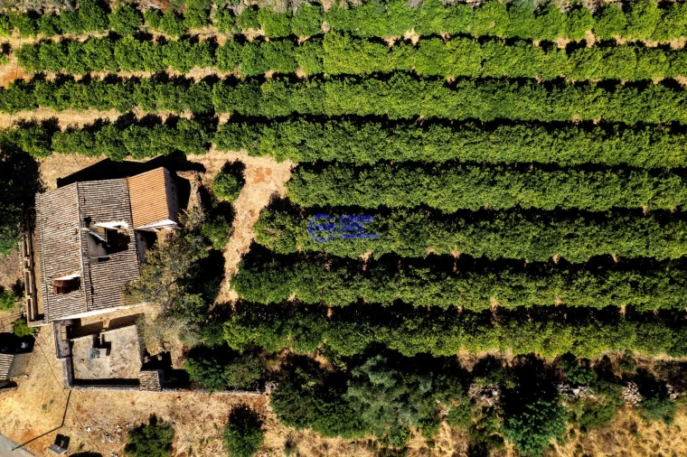 Quinta T4 para Venda em Paderne Foto 28