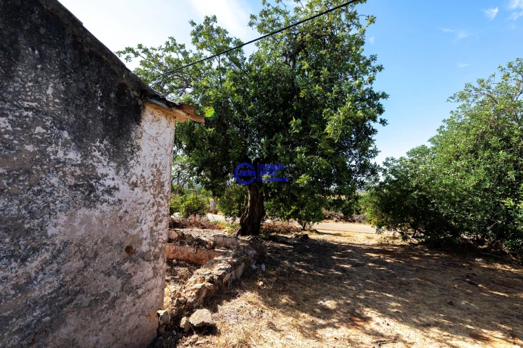 Quinta T4 para Venda em Paderne Foto 7