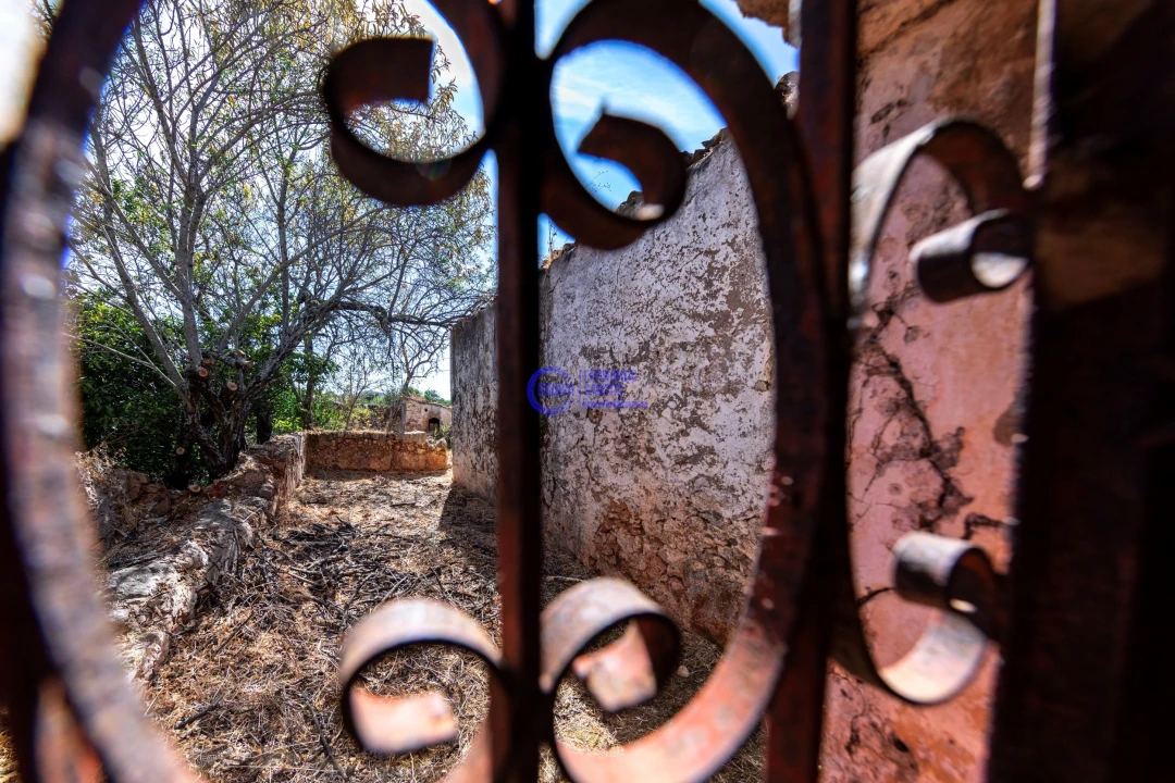 Quinta T4 para Venda em Paderne Foto 13