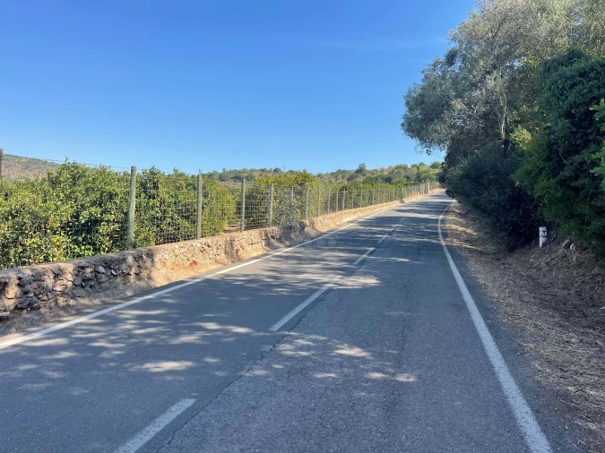 Terreno para Venda em Alte Foto 2