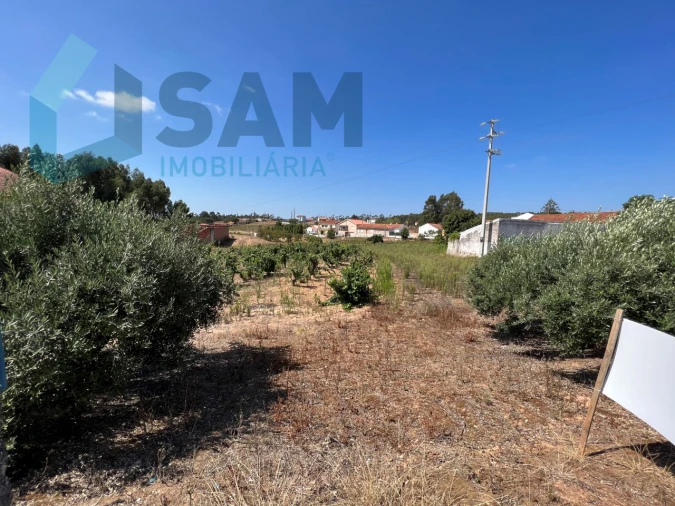 Terreno para Venda em Ramalhal Foto 9