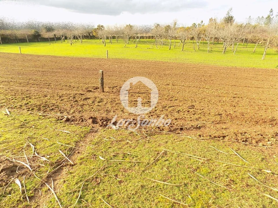 Terreno Agricola ou Rústico para Venda em Covelas Foto 1