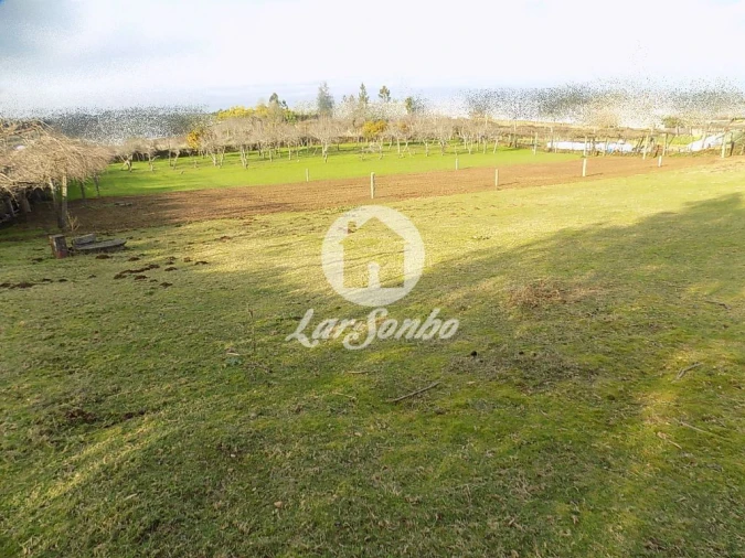 Terreno Agricola ou Rústico para Venda em Covelas Foto 2