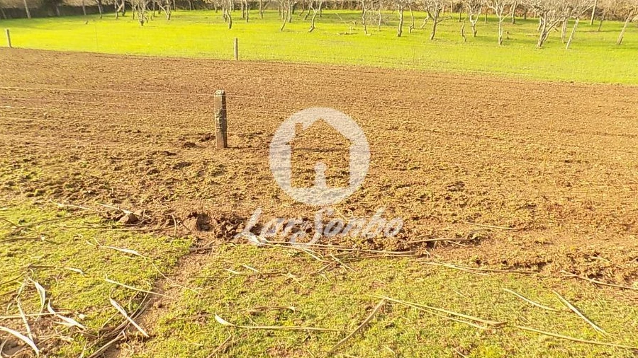 Terreno Agricola ou Rústico para Venda em Covelas