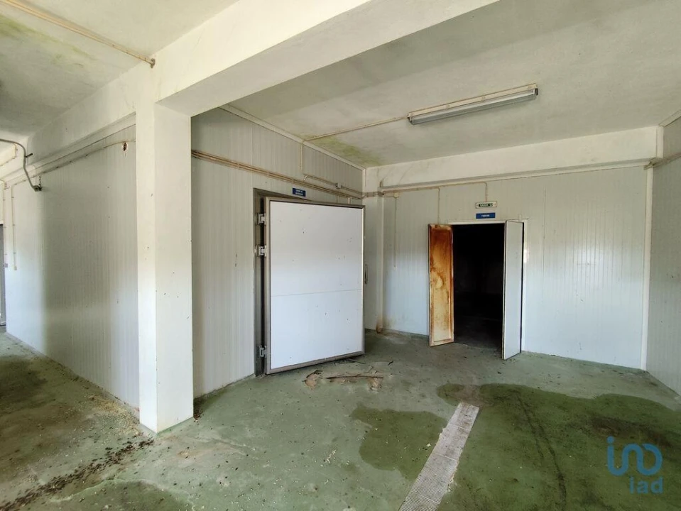 Loja para Venda em Comenda Foto 9