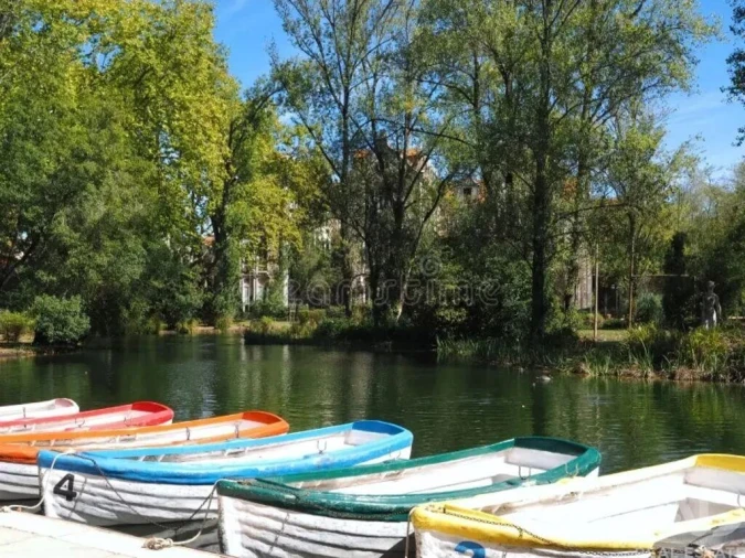Apartamento T3 para Venda em Nossa Senhora do Pópulo, Coto e São Gregório Foto 16